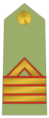 Rangos militares: Sargento Primero